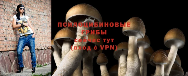 a pvp Абинск