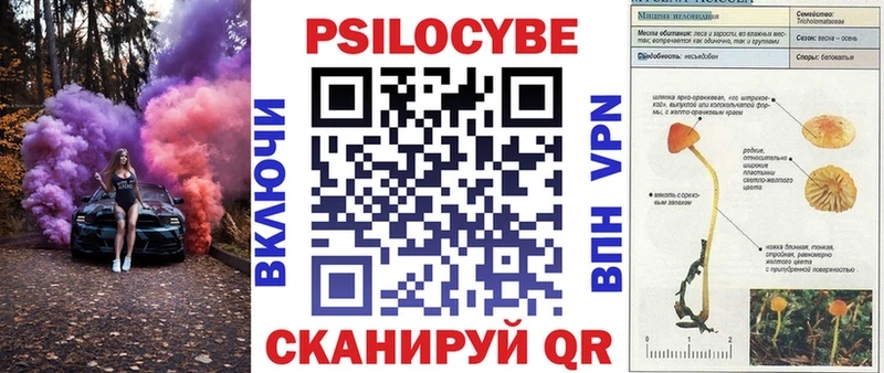 Псилоцибиновые грибы GOLDEN TEACHER Юрга