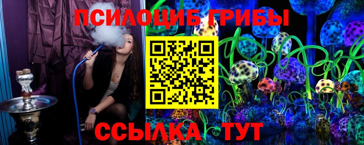 Юрга  Псилоцибиновые грибы Magic Shrooms  Псилоцибиновые грибы MAGIC MUSHROOMS  Вход с VPN 